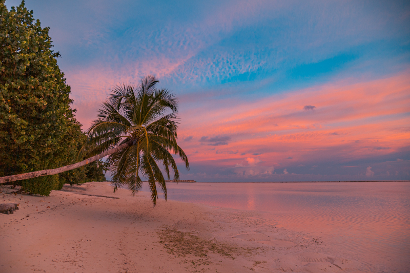 Tax Scenario In The Bahamas